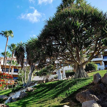 Spacious Apartment With Private Garden In Tenerife South Сан-Мігель-де-Абона Екстер'єр фото